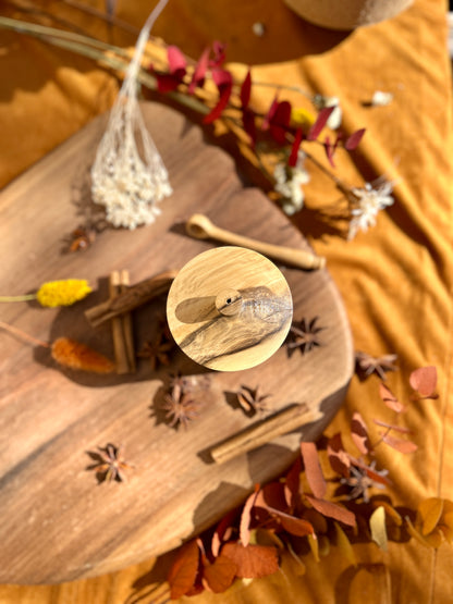 Pot n°1 collection "été indien"